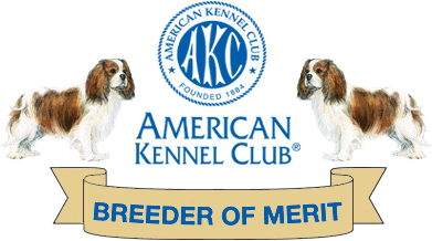 AKC Breeder of Merit AKC Breeder of Merit